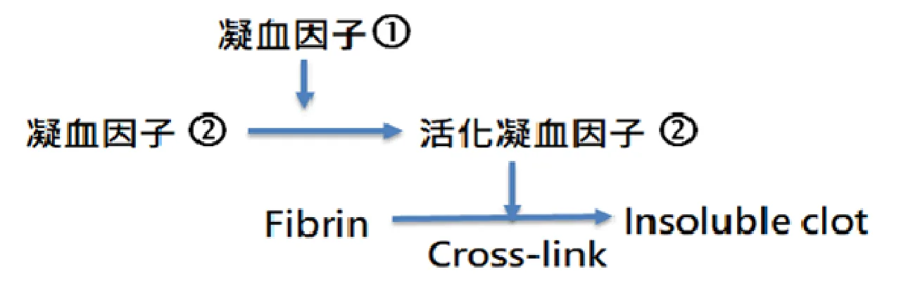 113 第1次 臨床血液學與血庫學 第 50 題 題目圖片