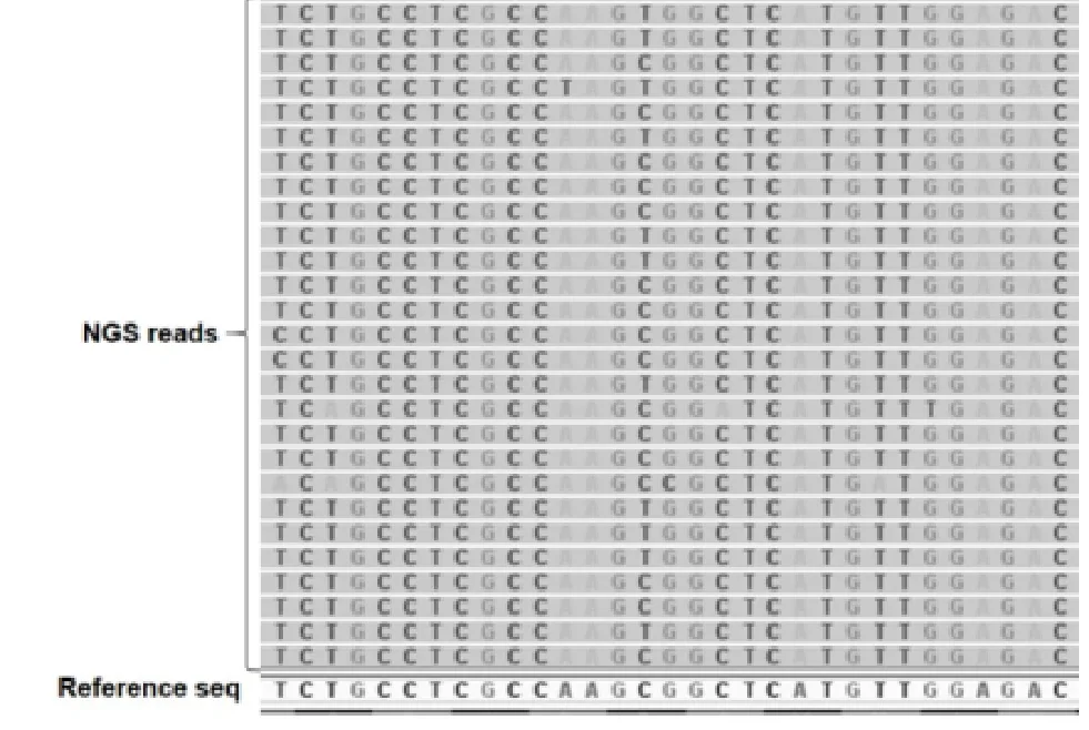 113 第1次 醫學分子檢驗學與臨床鏡檢學（包括寄生蟲學） 第 60 題 題目圖片