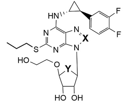 113 第2次 藥理學與藥物化學 第 59 題 題目圖片