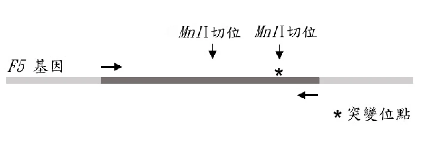 114 第1次 醫學分子檢驗學與臨床鏡檢學（包括寄生蟲學） 第 71 題 題目圖片