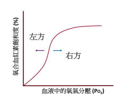 114 第1次 生理學與生物化學 第 24 題 題目圖片