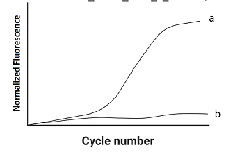 114 第2次 醫學分子檢驗學與臨床鏡檢學（包括寄生蟲學） 第 49 題 題目圖片