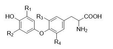 114 第2次 藥理學與藥物化學 第 66 題 題目圖片