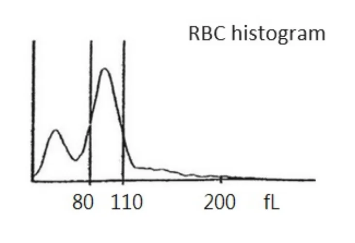 115 第1次 臨床血液學與血庫學 第 15 題 題目圖片