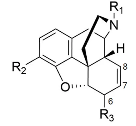 115 第1次 藥理學與藥物化學 第 59 題 題目圖片
