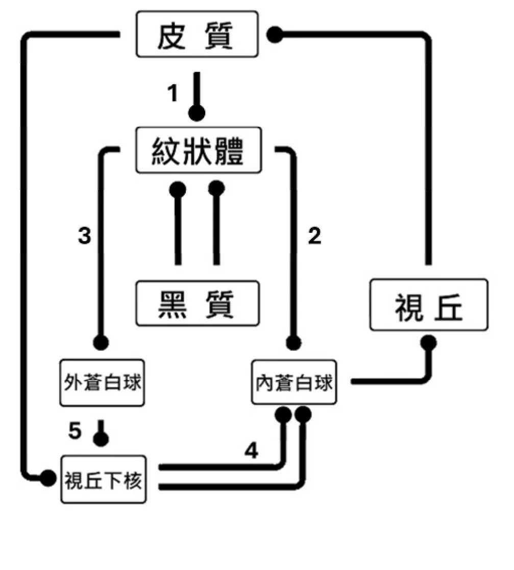 115 第2次 神經疾病物理治療學 第 61 題 題目圖片